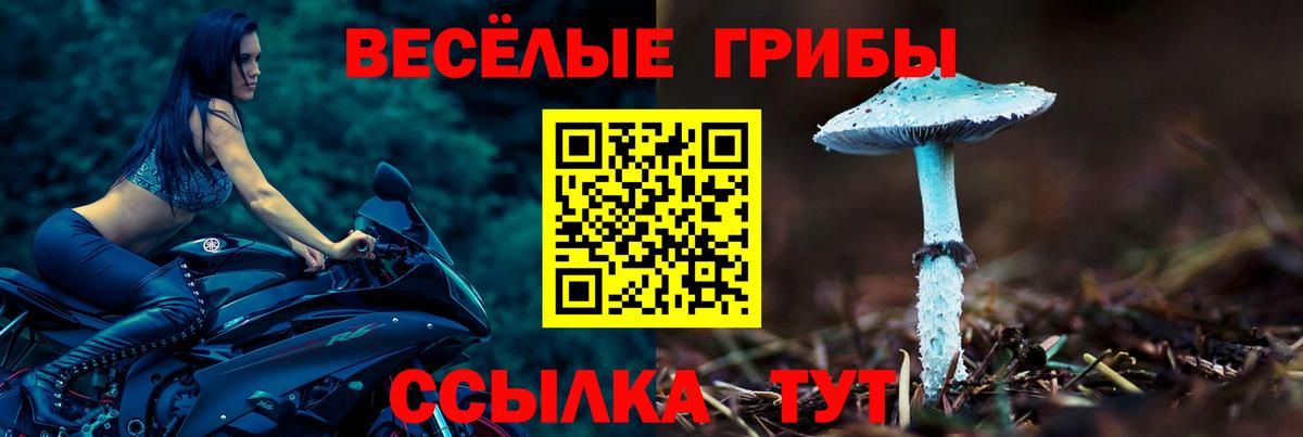 Галлюциногенные грибы прущие грибы Северодвинск